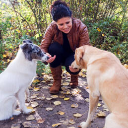 Manou honden beloning