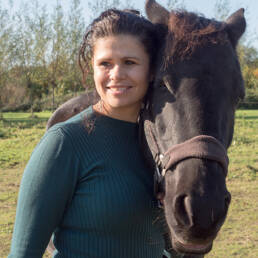 Manou paard