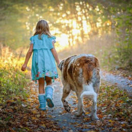 meisje grote hond bos